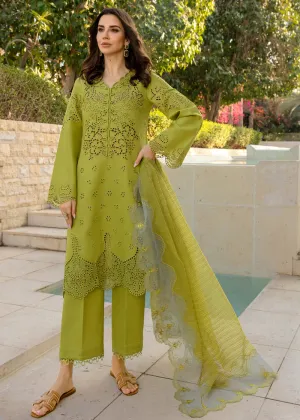 Carnation Summer Lawn Collection '24 by Rang Rasiya | FREESIA