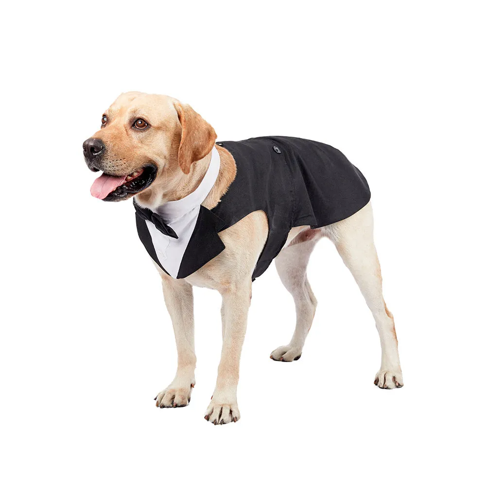 Dog Wedding Suit